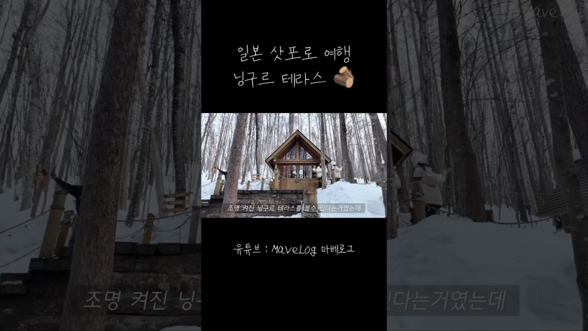 🇯🇵삿포로 여행 닝구르 테라스 🎄🪵 #삿포로여행 #홋카이도여행