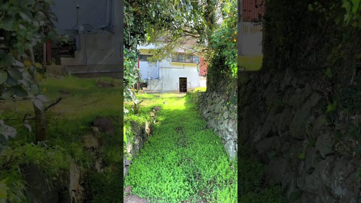 Japanese countryside: Tsukinoura, Minamata City, Kumamoto, Japan. #japaneselandscape