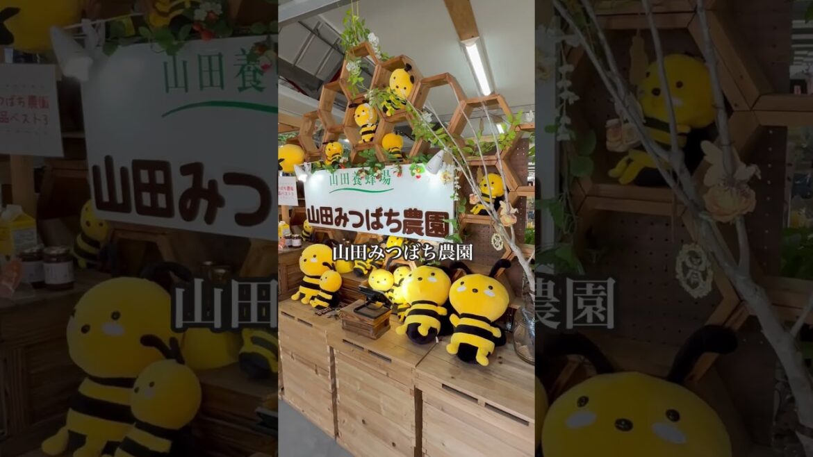 山田養蜂場へ行こう#shorts#たかゆか旅ぶら#岡山県#山田養蜂場#ぶんぶんファクトリー#ミツバチ農園