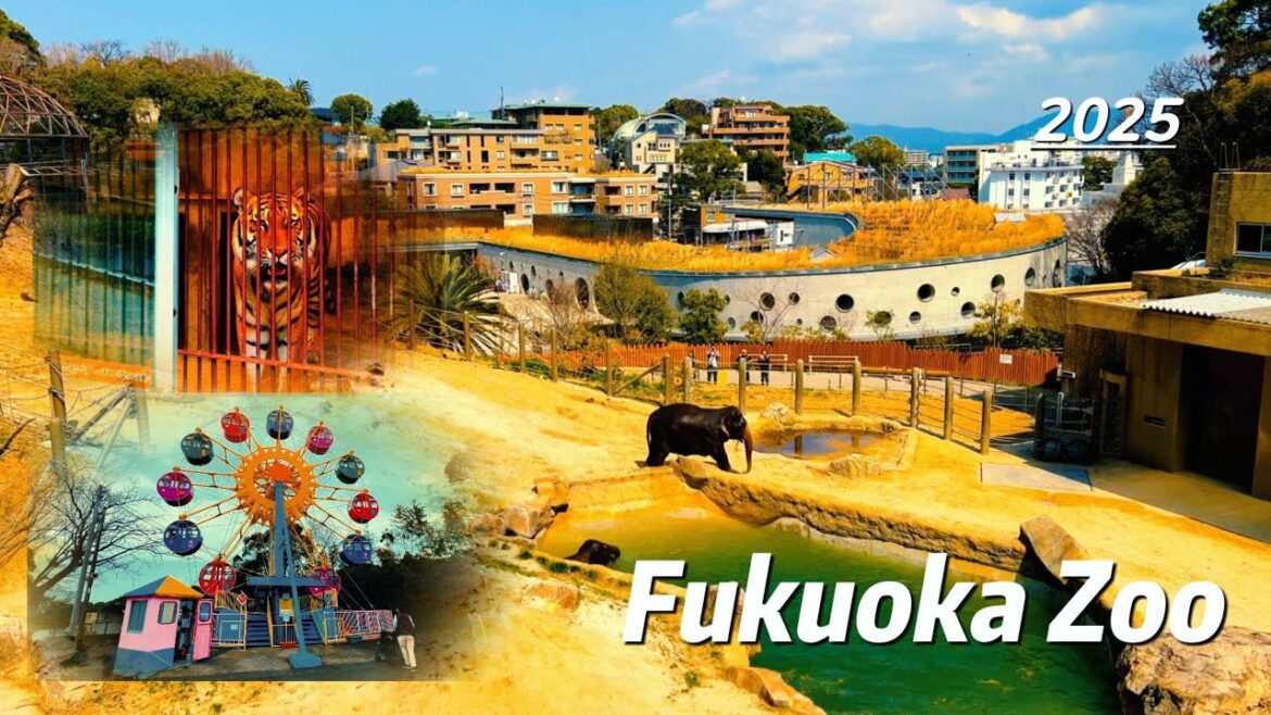 Unlock Fukuoka Zoo: The Ultimate Travel Adventure You Can’t Miss!Japan|fukuoka|kyushu Unlock Fukuoka Zoo: The Ultimate Travel Adventure You Can't Miss!Japan|fukuoka|kyushu