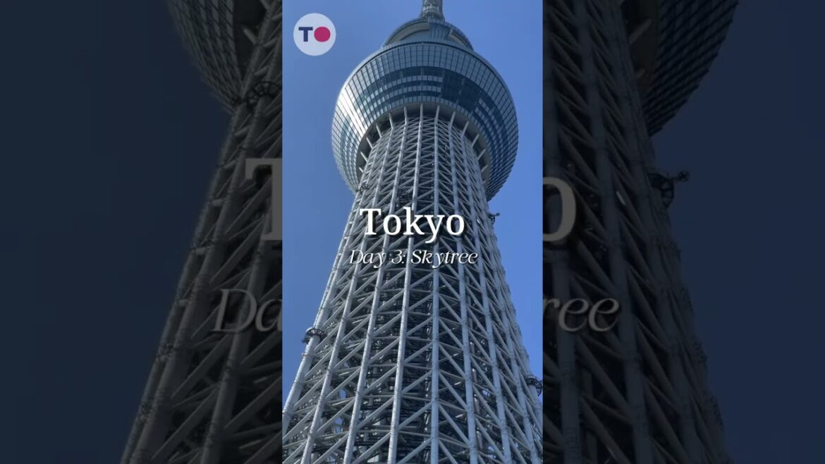 Japan's BEST 7 Day Adventure From Tokyo to Kyoto