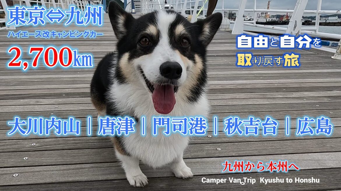 【犬連れ車中泊旅】秘窯の里｜鏡山絶景｜門司港レトロ｜秋吉台カルスト｜秋芳洞｜平和記念公園｜九州完結！豪雨の後の秋芳洞はどうなる？