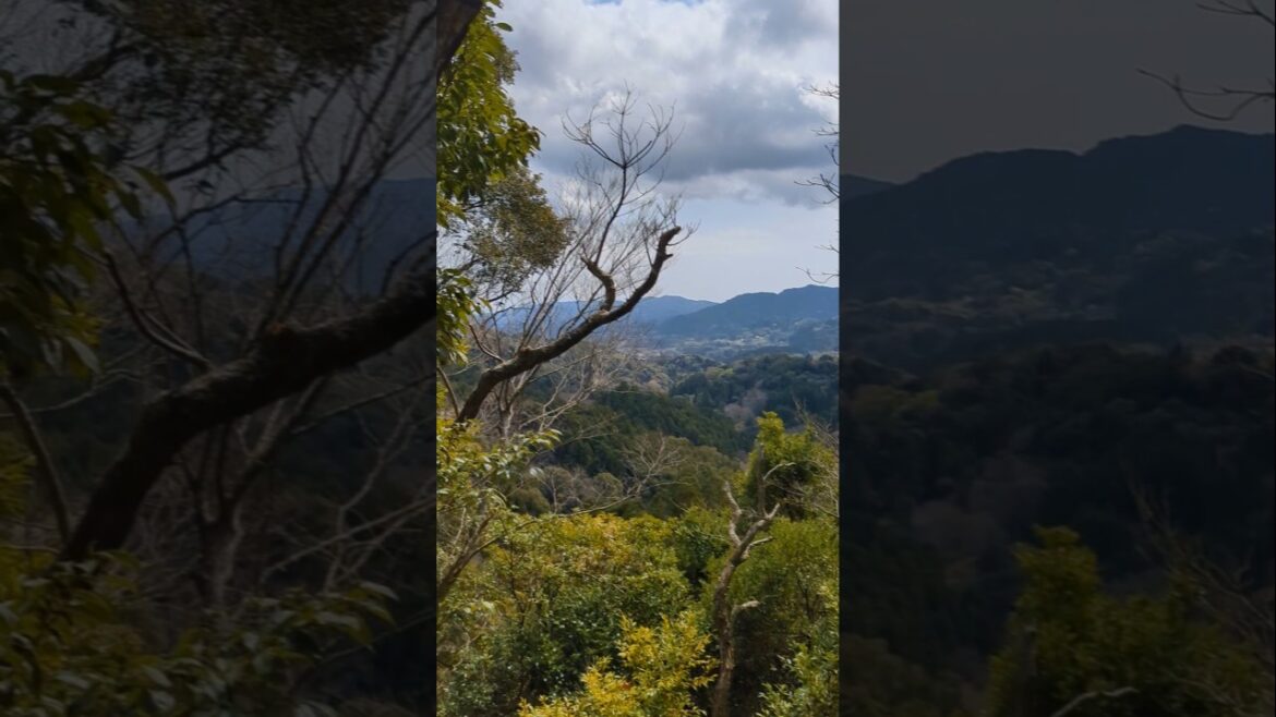 Ridge line relaxation | #shorts #japan
