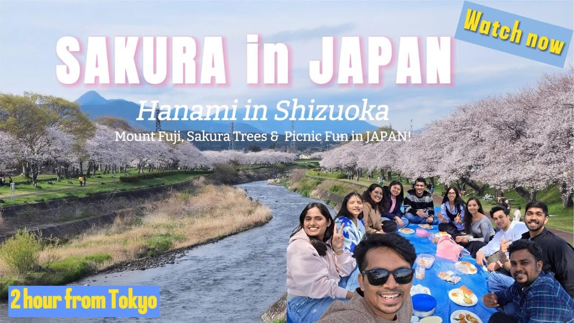 Hanami in Shizuoka πΈ | Mount Fuji & Sakura | Picnic In JAPAN Hanami in Shizuoka πΈ | Mount Fuji & Sakura | Picnic In JAPAN