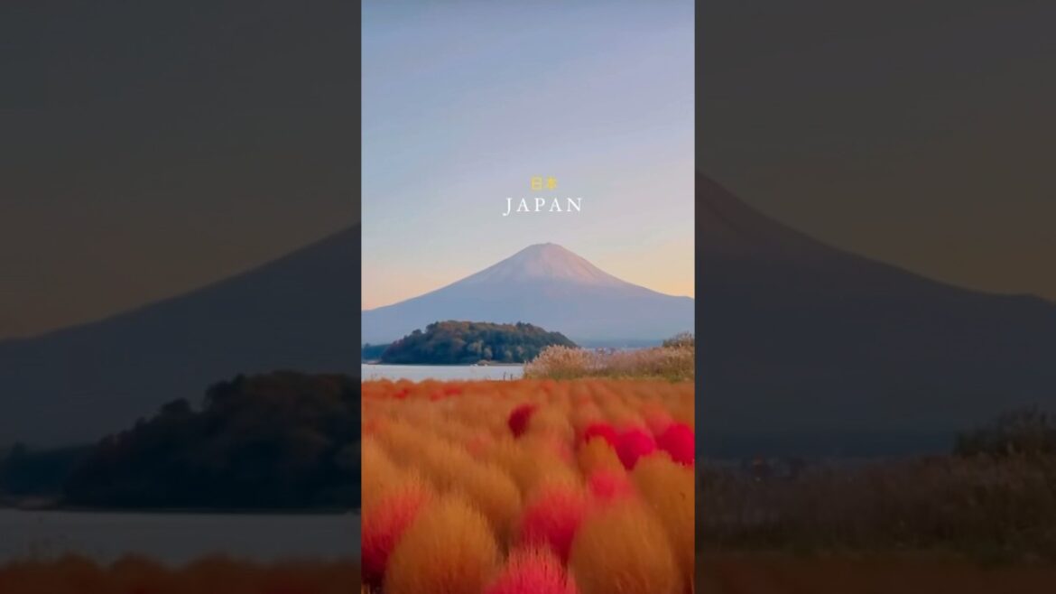 NEXT STOP IS ✈️: Japan 🇯🇵 #travel #asiantravel #japan #japantravel #japanese #asianet