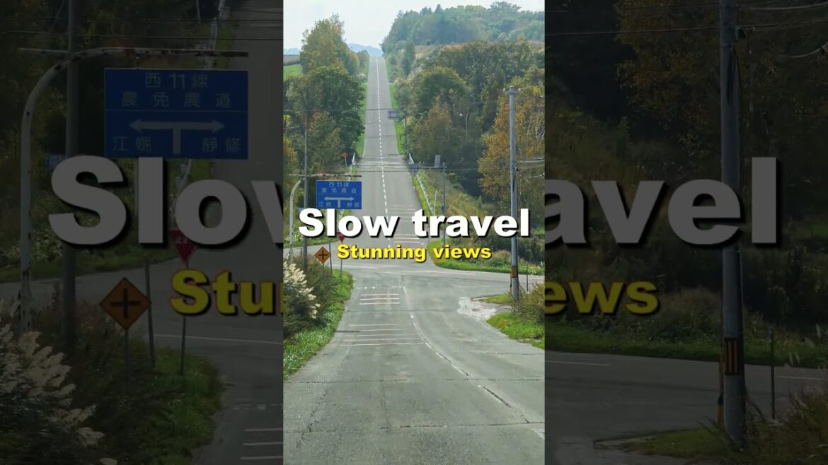 Most Scenic Road in Japan? Short