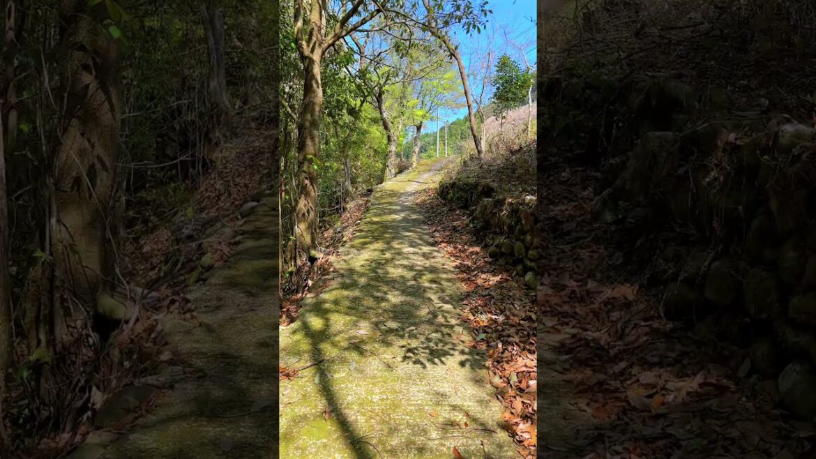 Japanese countryside: Nukudani, Minamata City, Kumamoto Pref, Japan. #japaneselandscape #travel