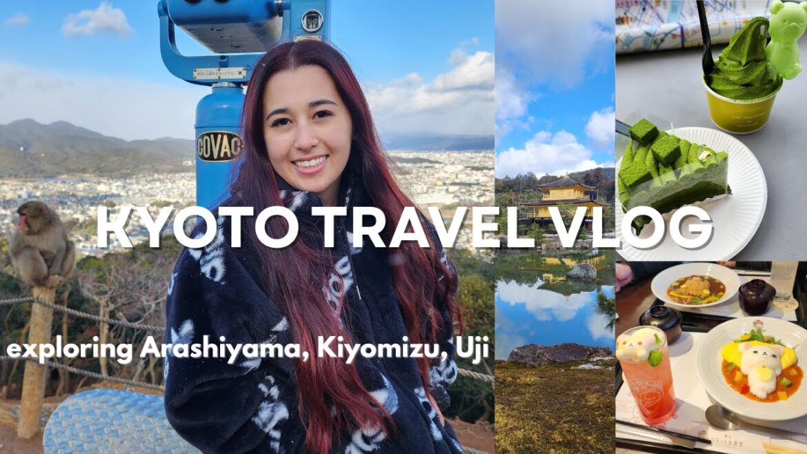 KYOTO TRAVEL | Arashiyama Monkey Park & Bamboo Forest, trying matcha at Uji, cafe hopping & more! KYOTO TRAVEL | Arashiyama Monkey Park & Bamboo Forest, trying matcha at Uji, cafe hopping & more!
