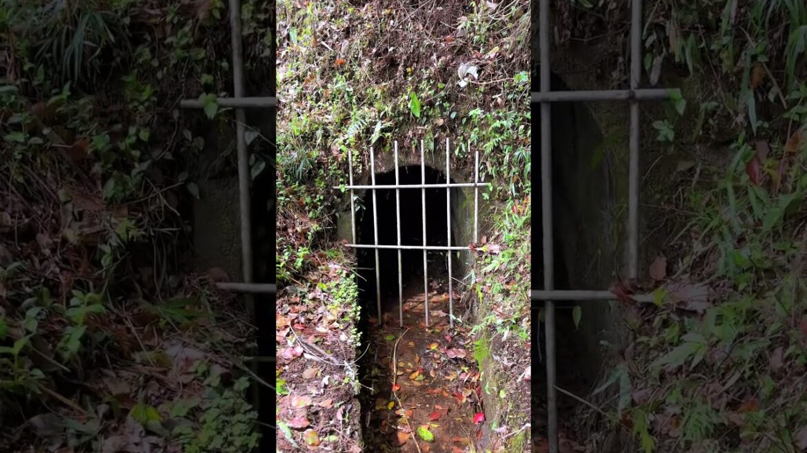 Japanese countryside: Fukagawa, Minamata City, Kumamoto Pref, Japan. #japaneselandscape #travel