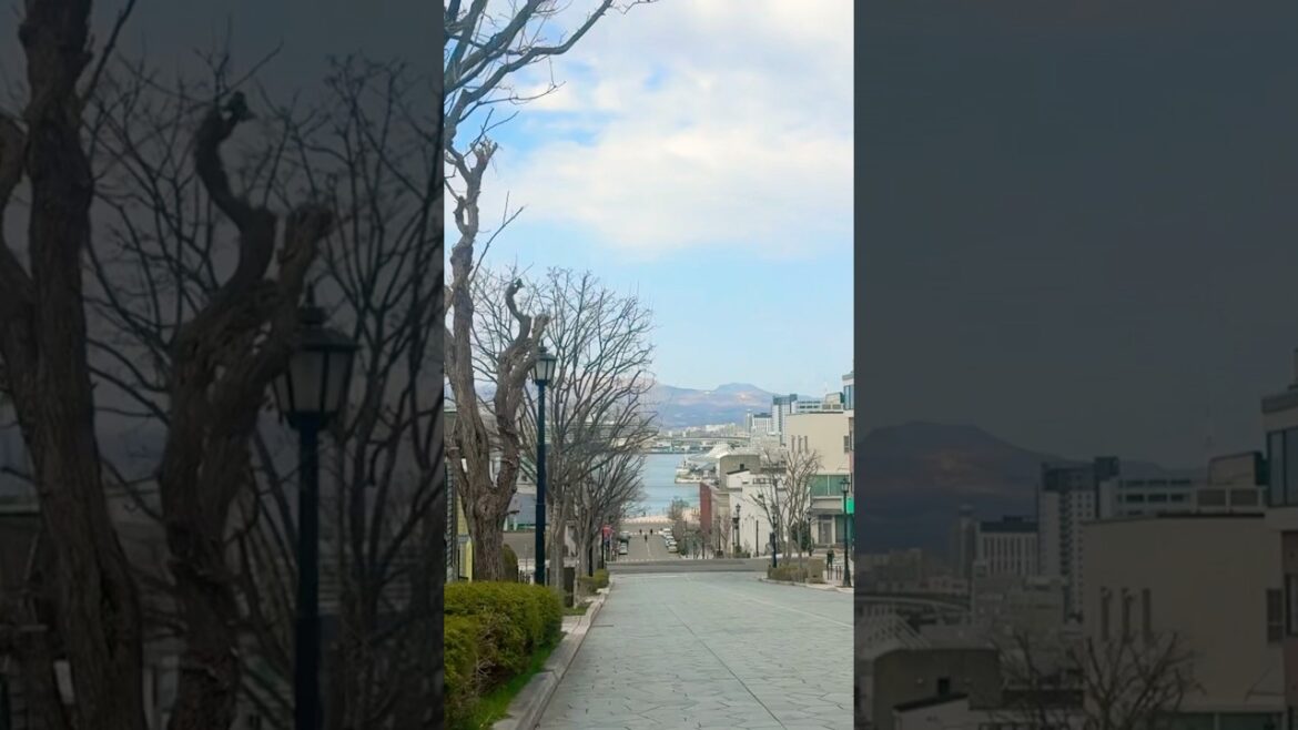 函館之美 #北海道日本ハムファイターズ #北海道 #函館の風景 #函館 #八幡板街 #japantravel #hakodate #travel #hokkaido