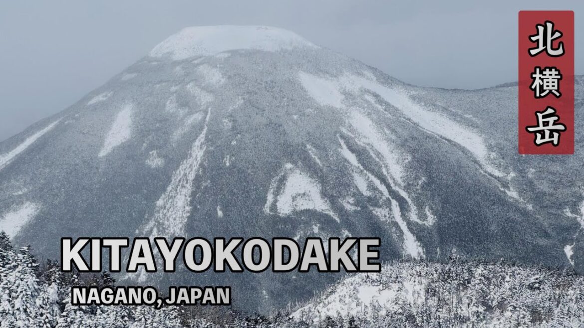 Kitayokodake 北横岳 - Short Volcano Snow Hike - Nagano - 2/24/2025