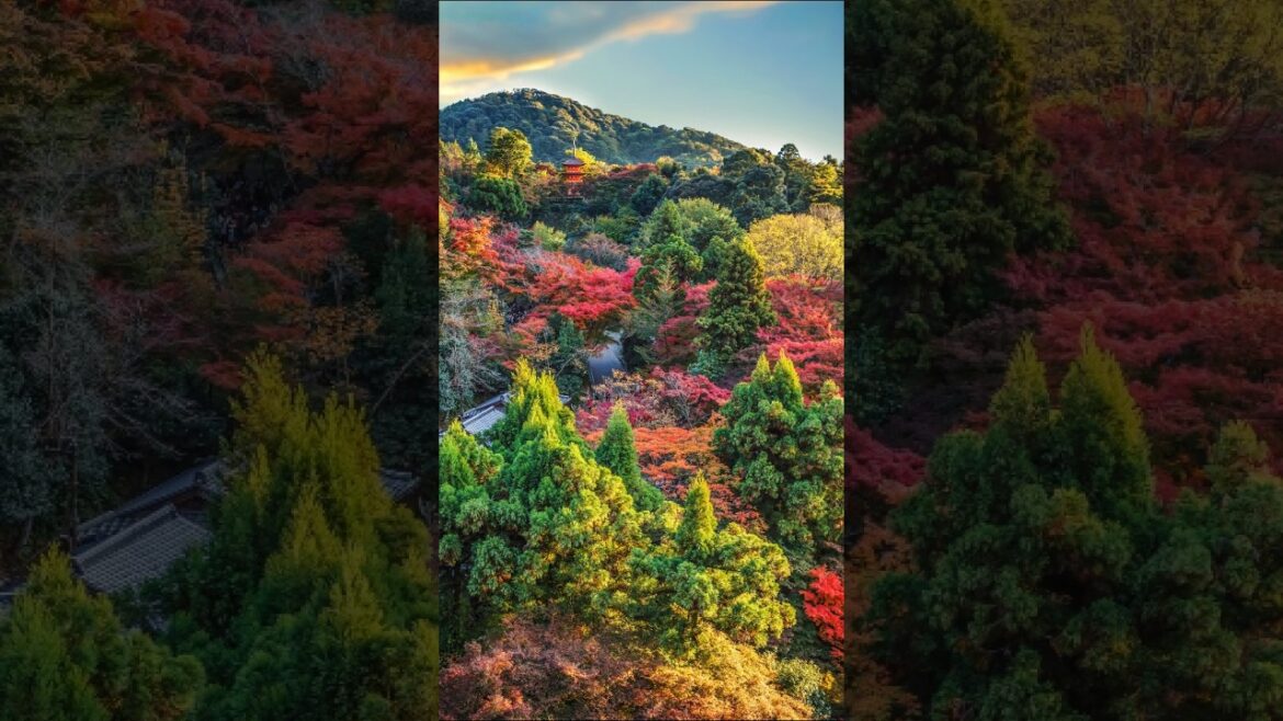 MOST BEAUTIFUL Autumn Spots in Japan - Part II #viralshorts