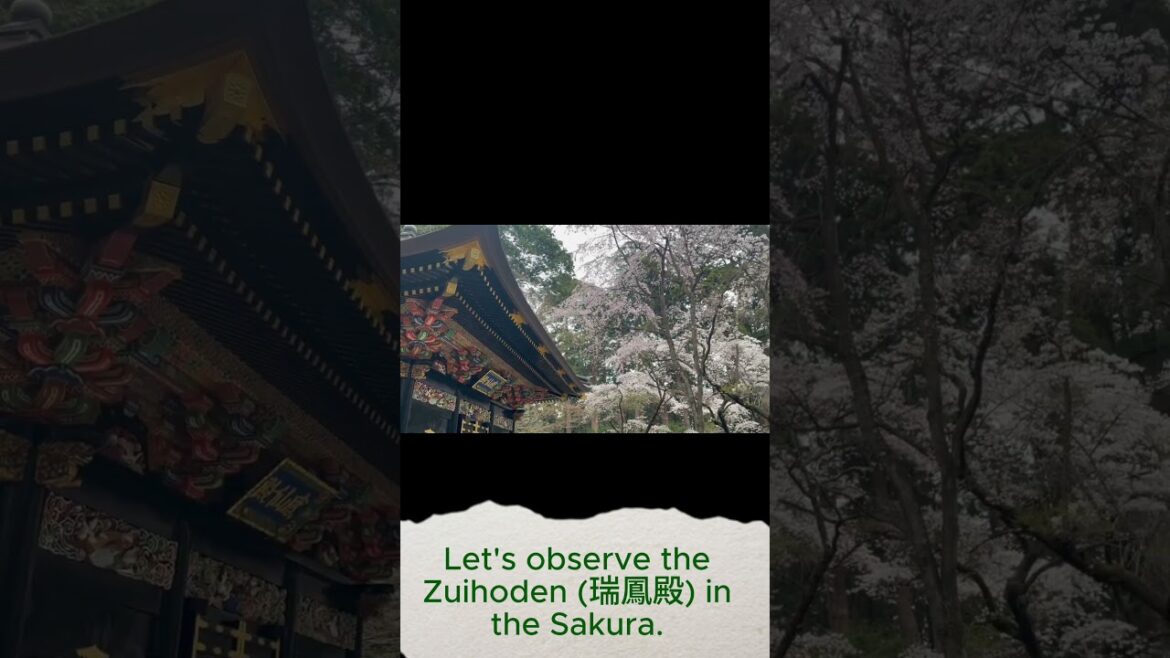 Zuihoden (瑞鳳殿)#Zuihoden #瑞鳳殿 #sentai #仙台#roadtrip