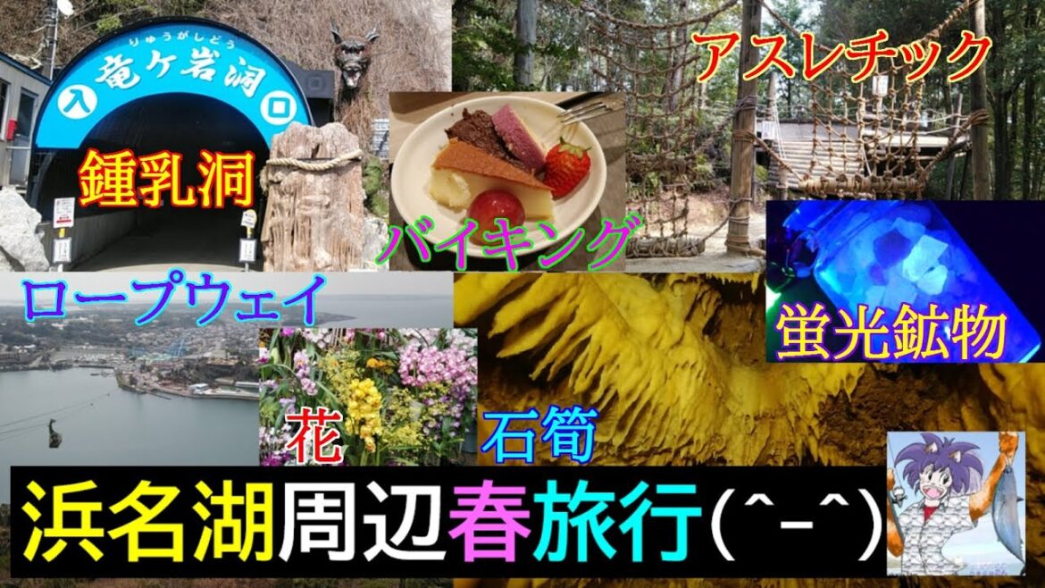 浜名湖周辺旅行!、春休みのアウトドアと地学学習の旅!!。アスレチック、フラワーパーク、ロープウェイ、竜ヶ岩洞で鍾乳洞を探索。鍾乳石の鉱物蛍光現象を観察しました(^^) 2025年3月下旬,東海地方浜松 浜名湖周辺旅行!、春休みのアウトドアと地学学習の旅!!。アスレチック、フラワーパーク、ロープウェイ、竜ヶ岩洞で鍾乳洞を探索。鍾乳石の鉱物蛍光現象を観察しました(^^) 2025年3月下旬,東海地方浜松