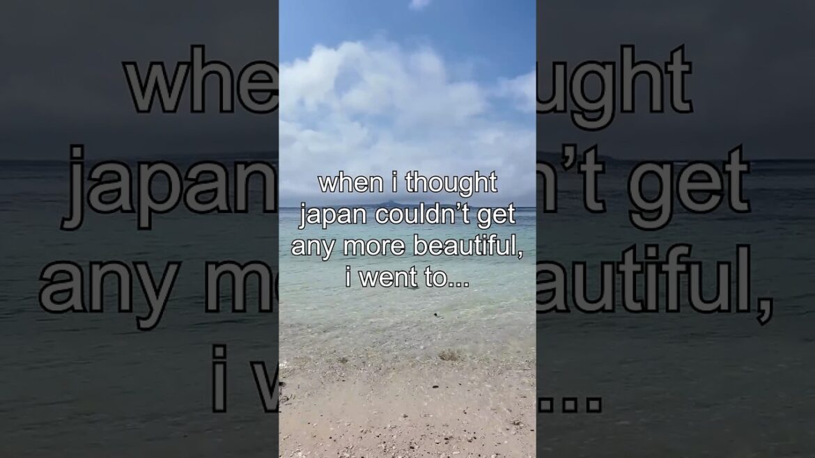 (sub)tropical japan… #okinawa ! 🇯🇵🏝️🍧 #japan #japantravel (sub)tropical japan… #okinawa ! 🇯🇵🏝️🍧 #japan #japantravel