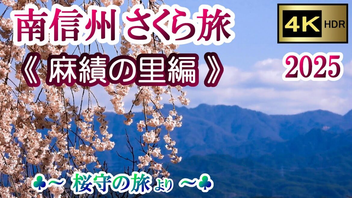 南信州さくら旅 2025 Part-2《麻績の里編》 【4K】 ♣～ 桜守の旅より ～♣