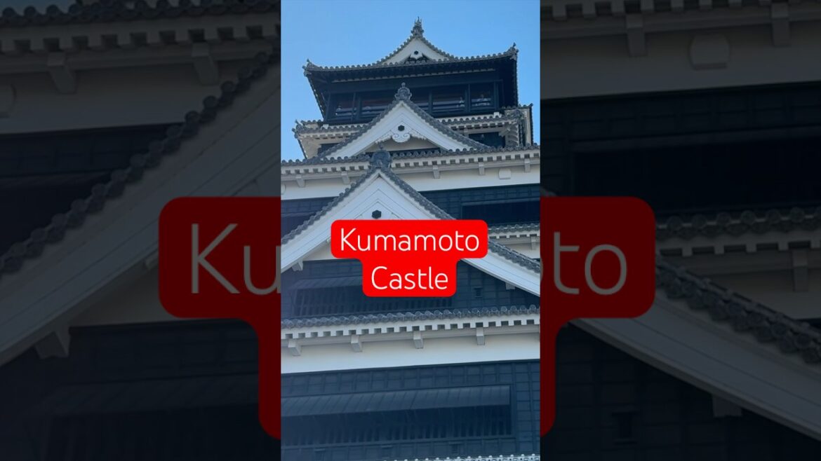 The Most Beautiful Japanese Castle You NEED To Visit #kumamotocastle #kyushu #traveljapan