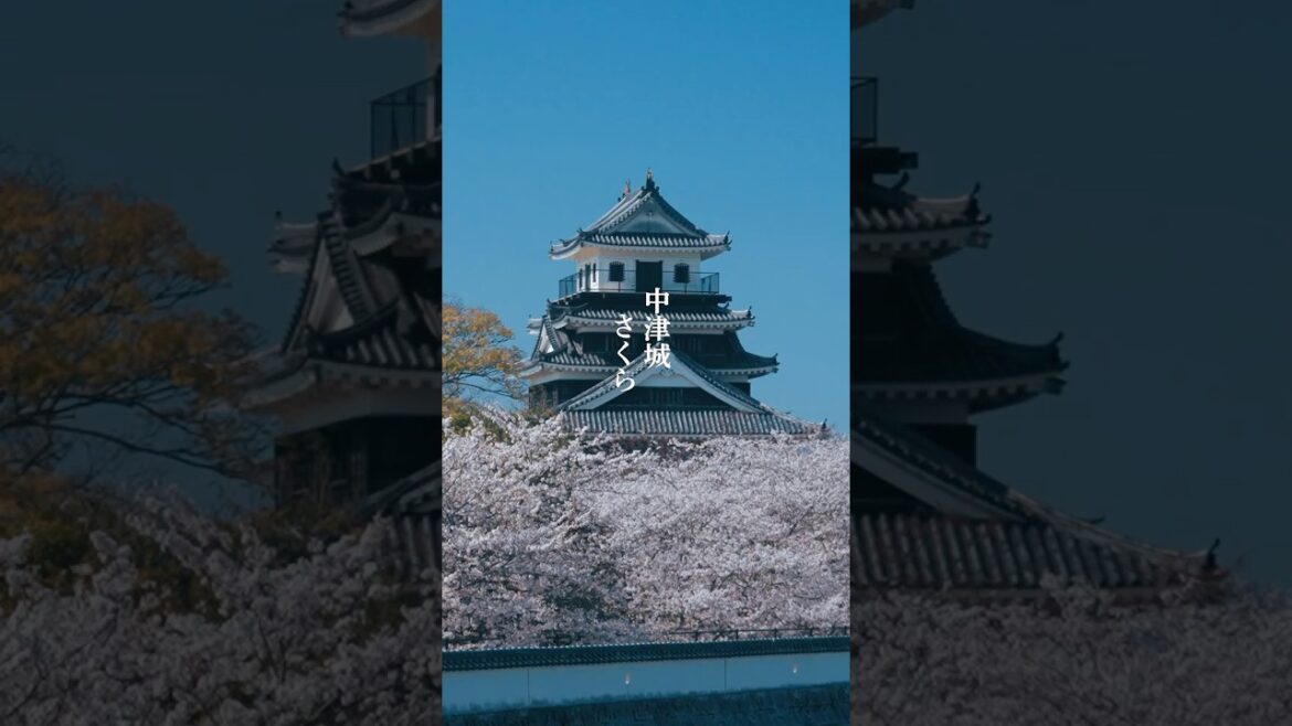 #中津城 #桜  #shorts #大分県