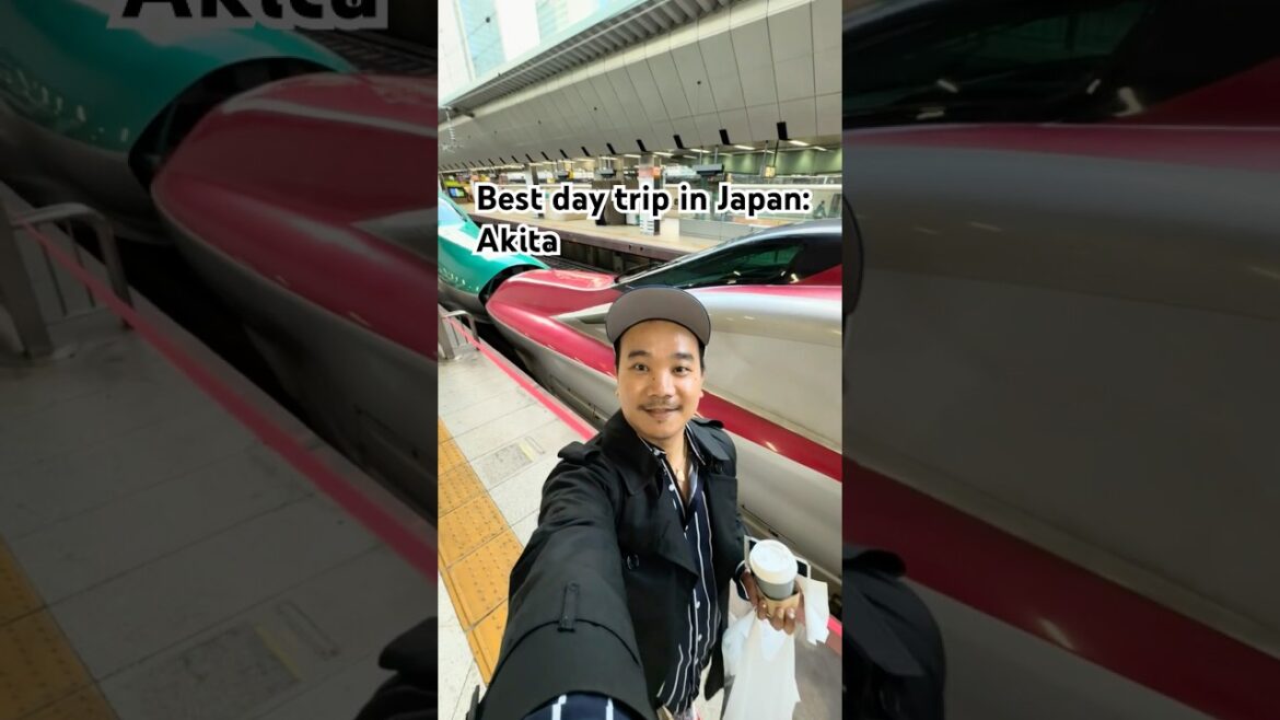 Best day trip in Japan? Akita Prefecture’s samurai village—Kakunodate 🇯🇵 #japanguide #foodieguide