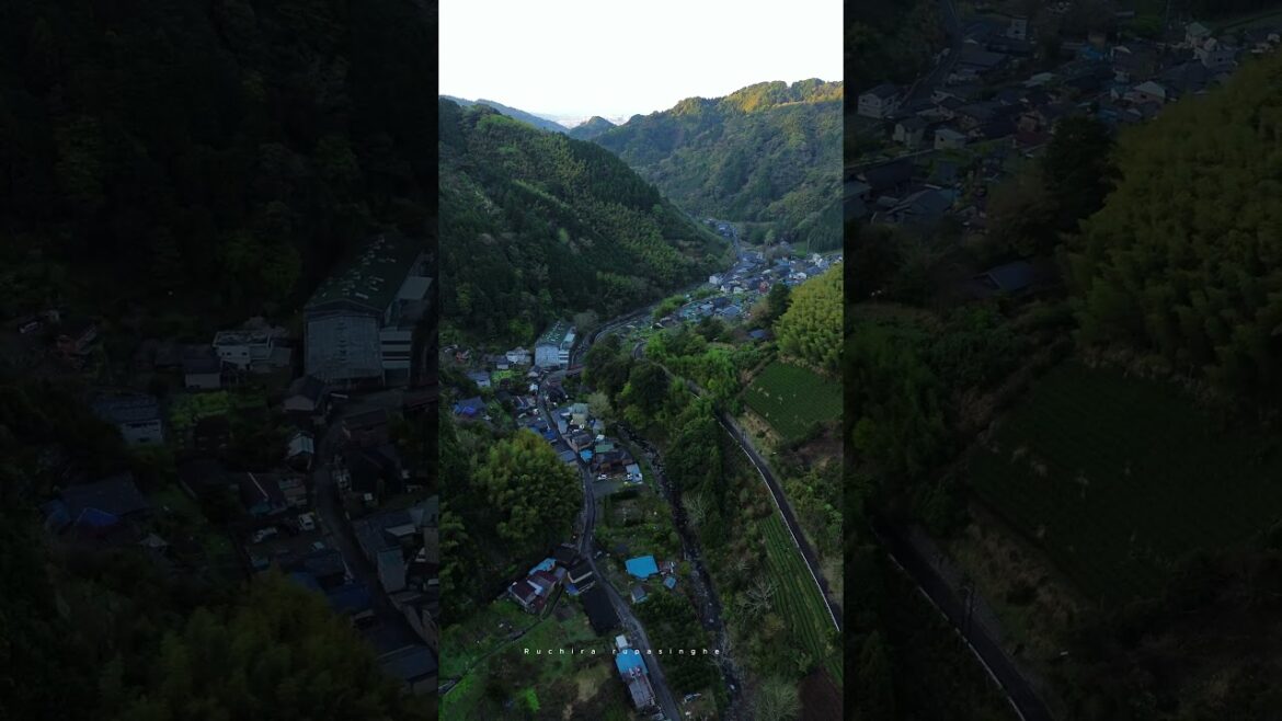 Shizuoka | 🇯🇵Japan