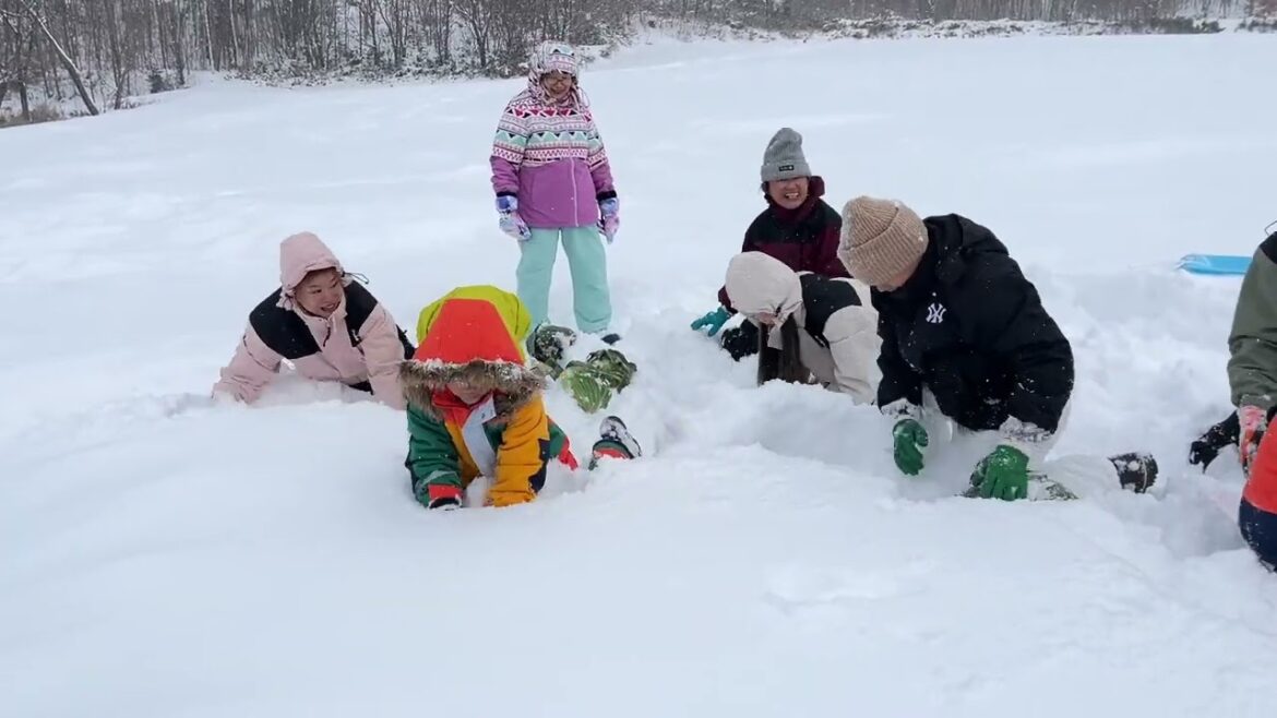 Dig up wintering cabbage & snow picnic lunch, Farm visit, Cabbage tour on Dec 11, 2024 Dig up wintering cabbage & snow picnic lunch, Farm visit, Cabbage tour on Dec 11, 2024