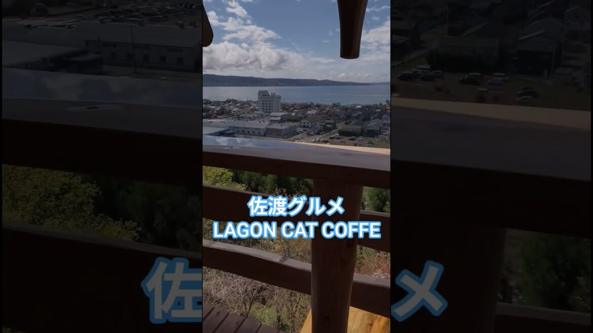 【佐渡グルメ】#新潟県#佐渡市#カフェ#飲食店#軽食#おやつ#コーヒー#ログハウス#佐渡ヶ島 #窪田#名物 #お菓子#寛ぎ#癒し#テイクアウトok