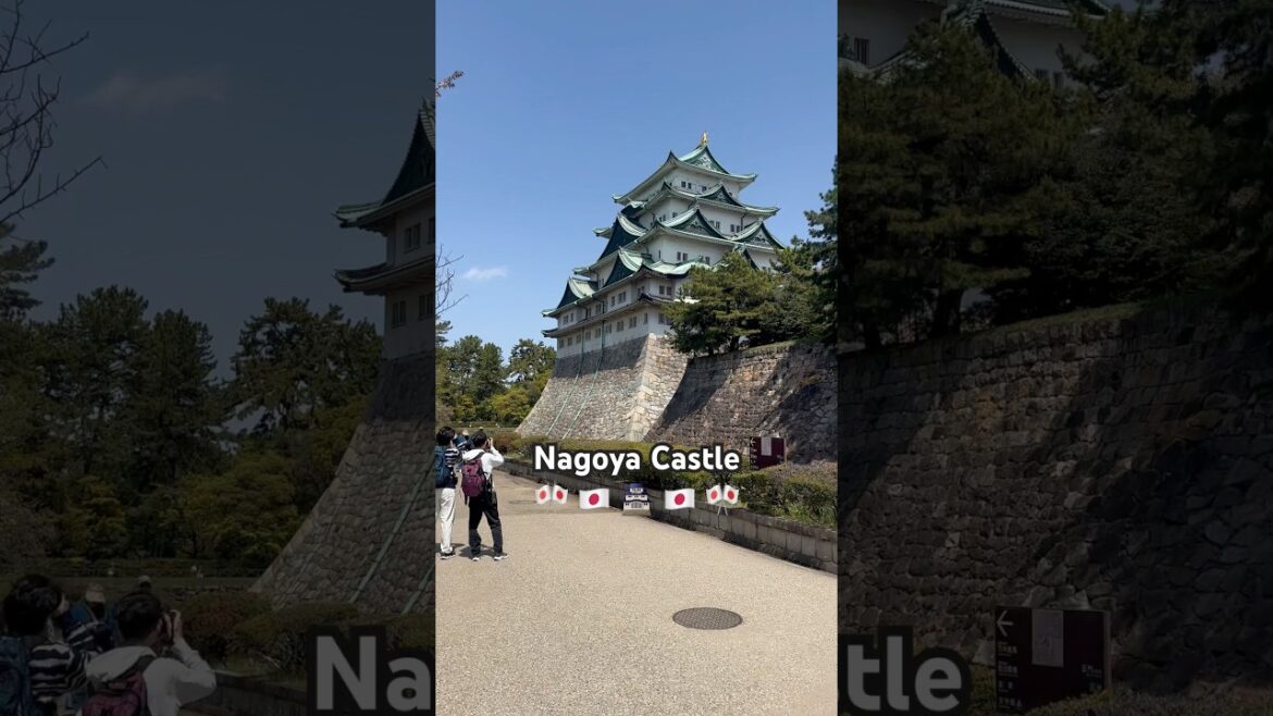 Nagoya Castle - First Time in Nagoya 🇯🇵