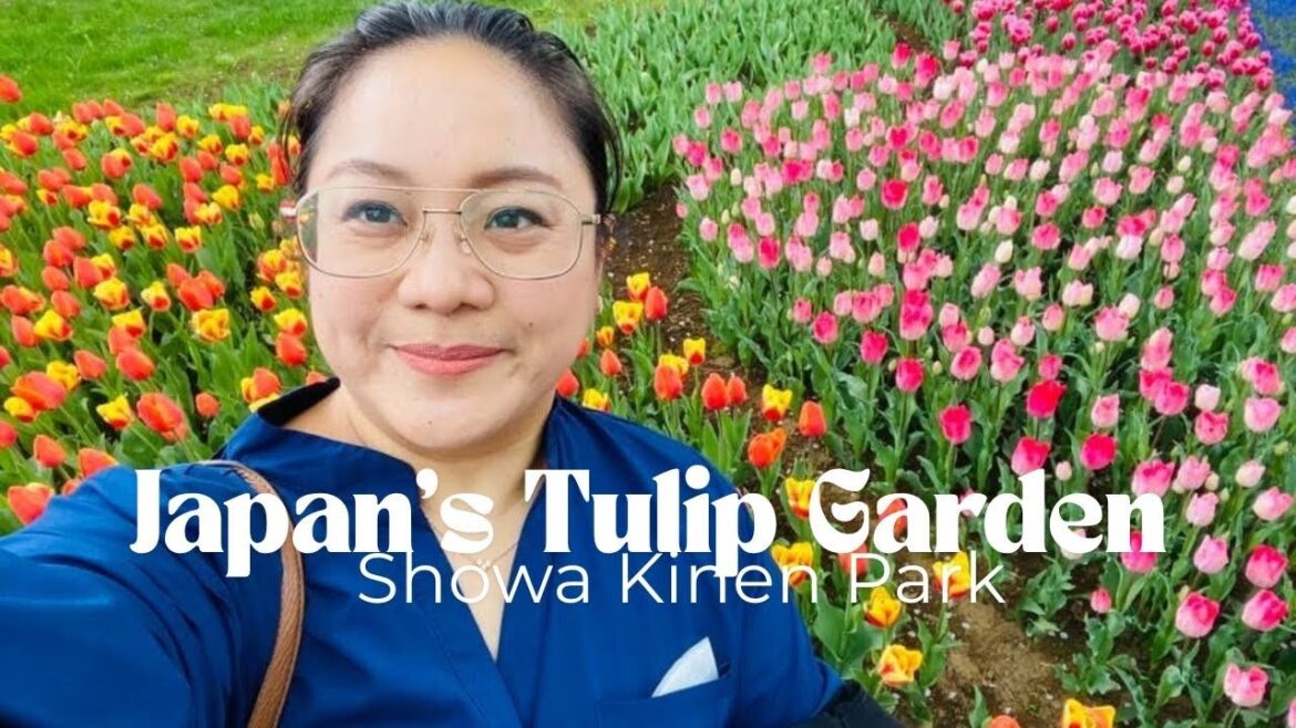 Beautiful Tulip Garden near Tokyo|Showa Kinen Park Tachikawa|Japan Travels
