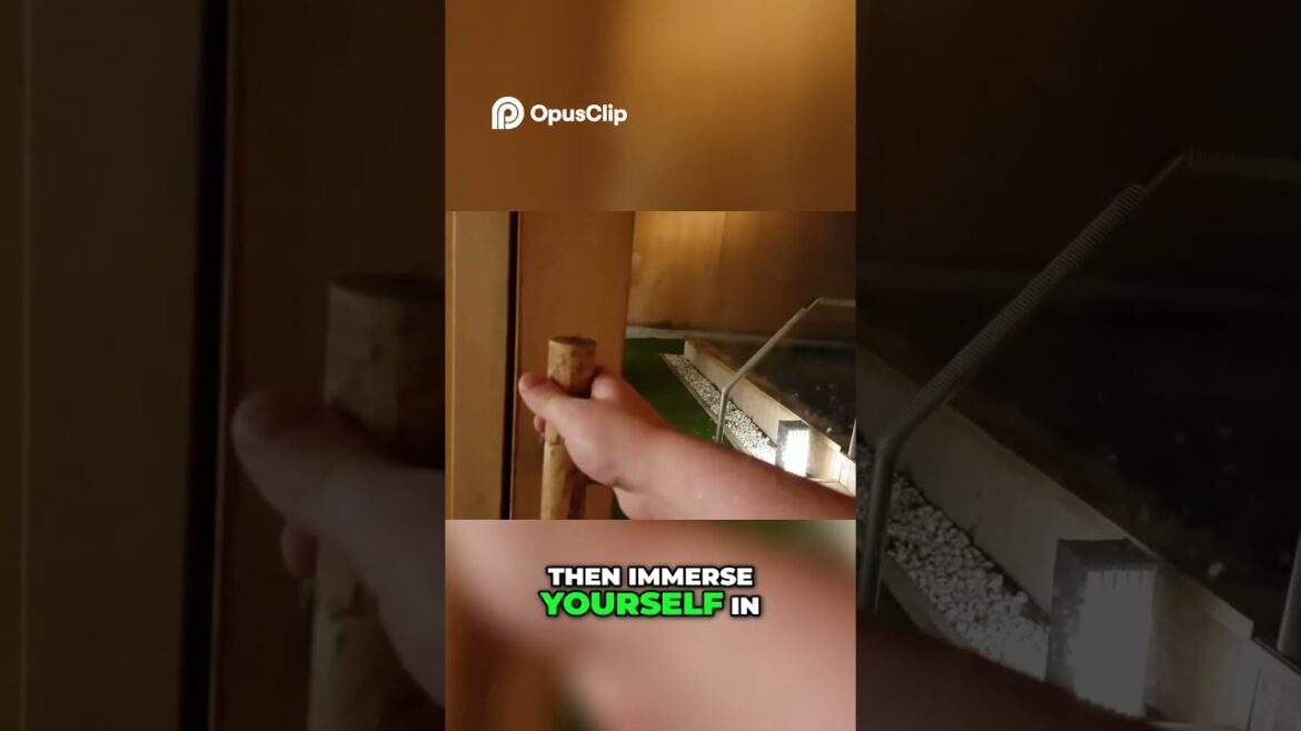 Escape to Japan: Ryokan & Onsen   Your Ultimate Relaxation Guide