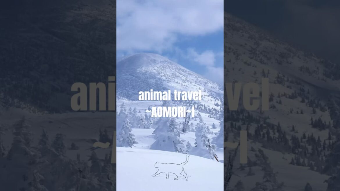 THIS IS AOMORI#shorts