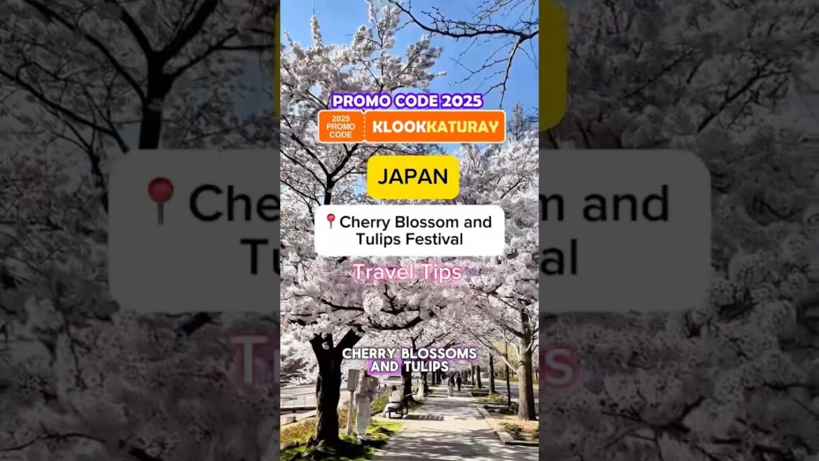 Japan Cherry Blossom Japan Cherry Blossom