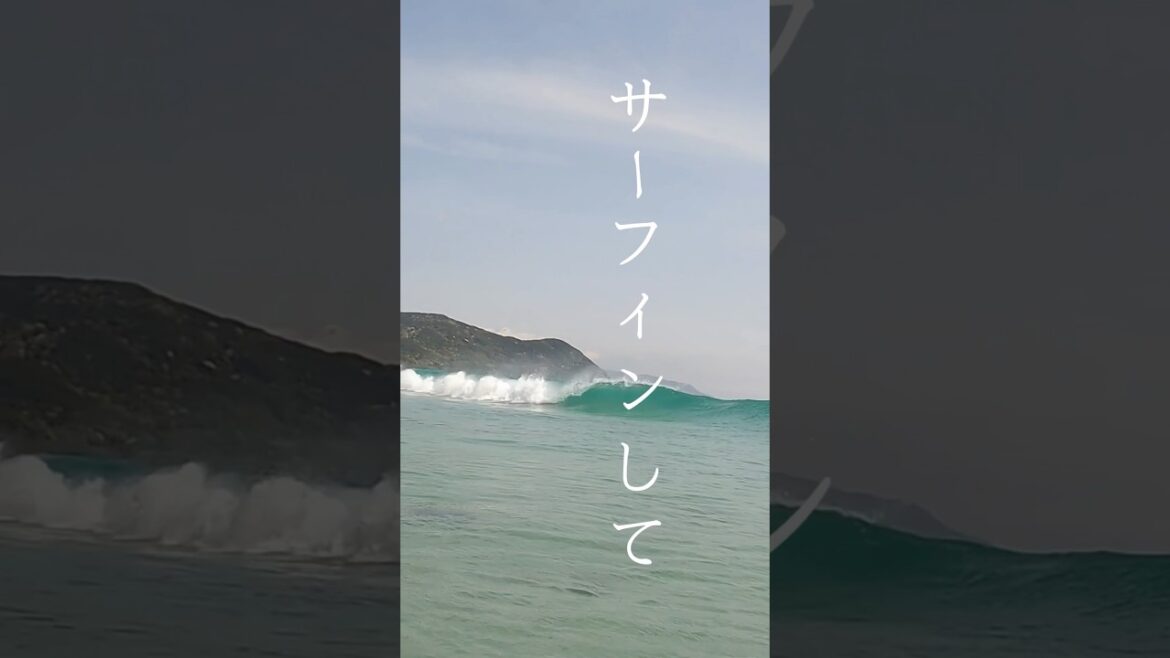 【伊豆車中泊】波乗り旅　#サーフトリップ  #伊豆サーフィン  #サーフィン