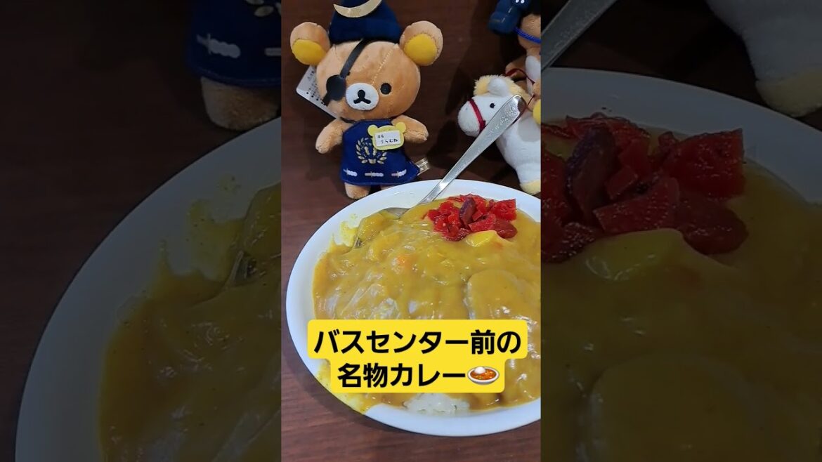 たまキューの旅(新潟編1)#万代 #バスセンターのカレー #新潟観光 #新潟県 #新潟市中央区 #おいしい #チャンネル登録と高評価お願いします #カレーライス