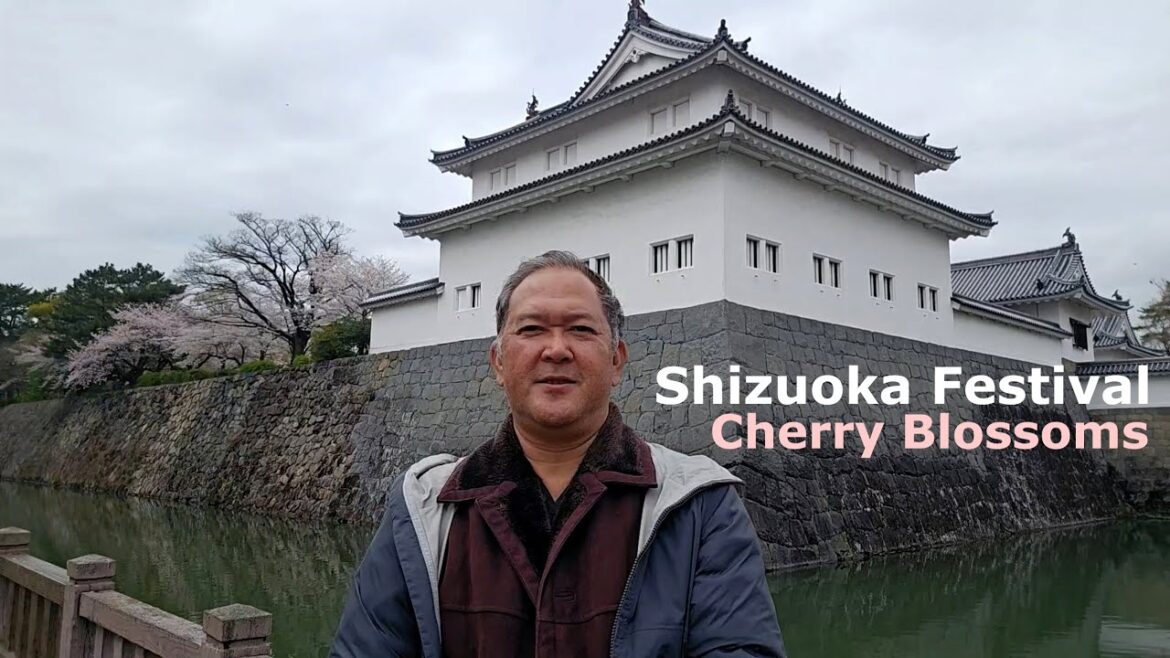 Journey to Shizuoka Festival and Cherry Blossoms