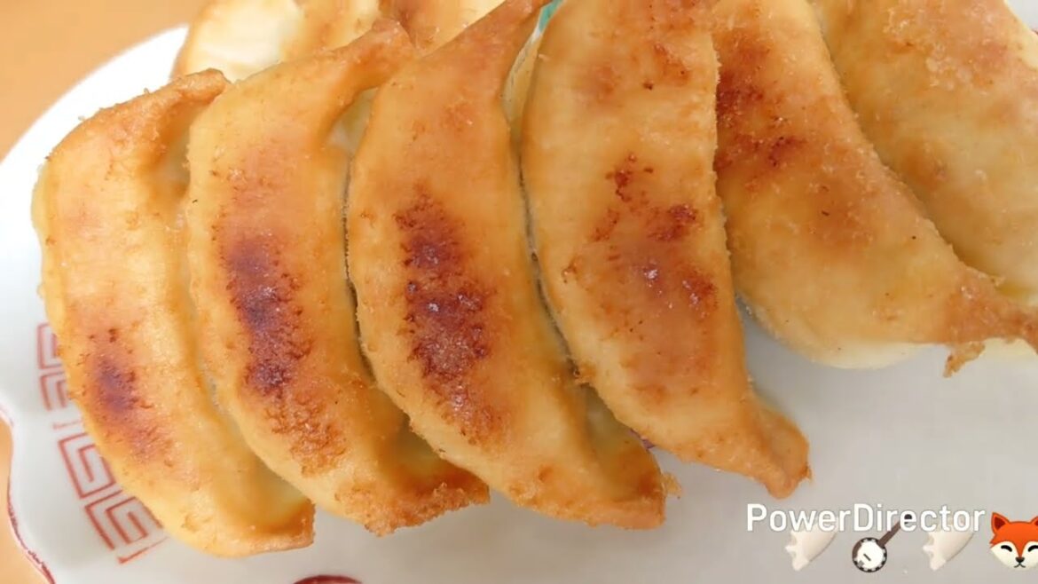 🪕Two gyoza restaurants in Hamamatsu, the city of music