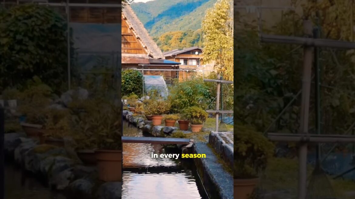 Explore Japan's Hidden Gems: Shirakawago, Aso Kuju National Park, and Nikko #JapanTravel #HiddenGems