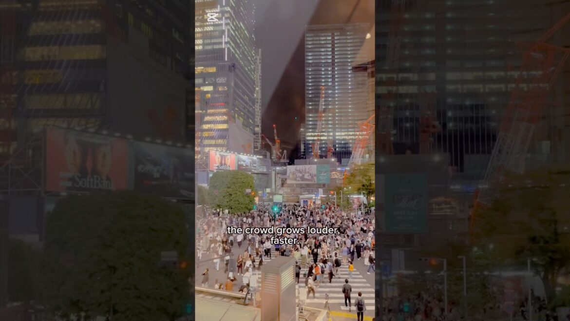 Tokyo, day to night🗼 #travel #travellife #tokyo