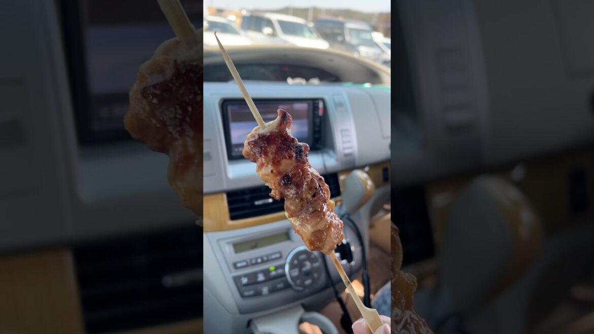 Japanese Street Food Yakitori #japan