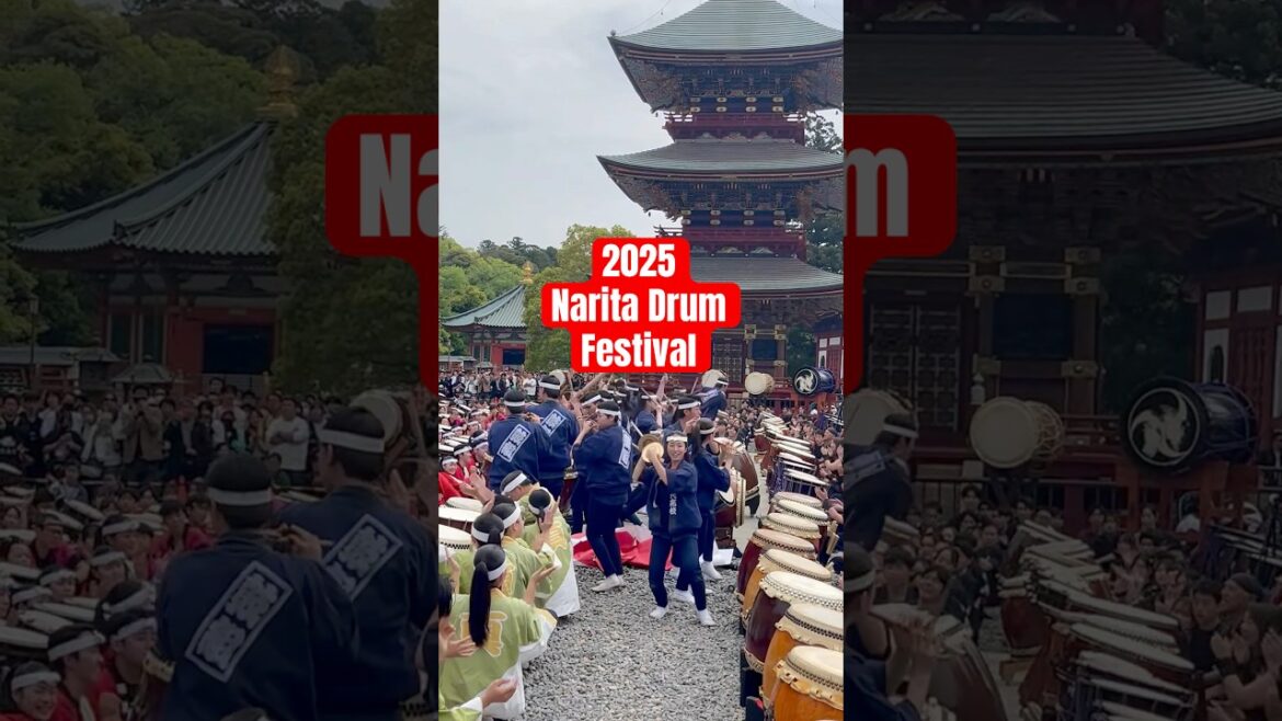 2025 Narita Drum Festival #chiba  #千葉 #japan