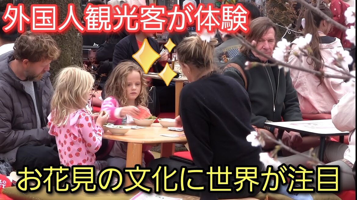 外国人観光客が初めての花見を体験。世界が注目するお花見