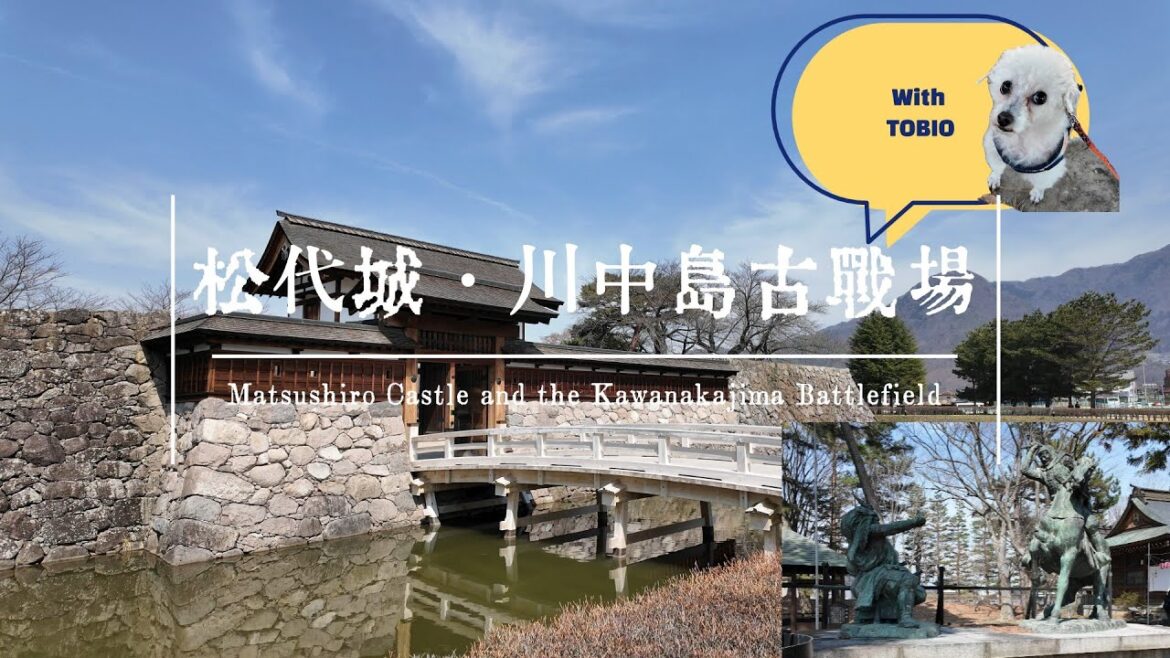 【4K  BGM Japan Castle】城大使トビオと巡る！松代城と川中島古戦場 Castle Tour with Tobio: Matsushiro castle & Kawanakajima