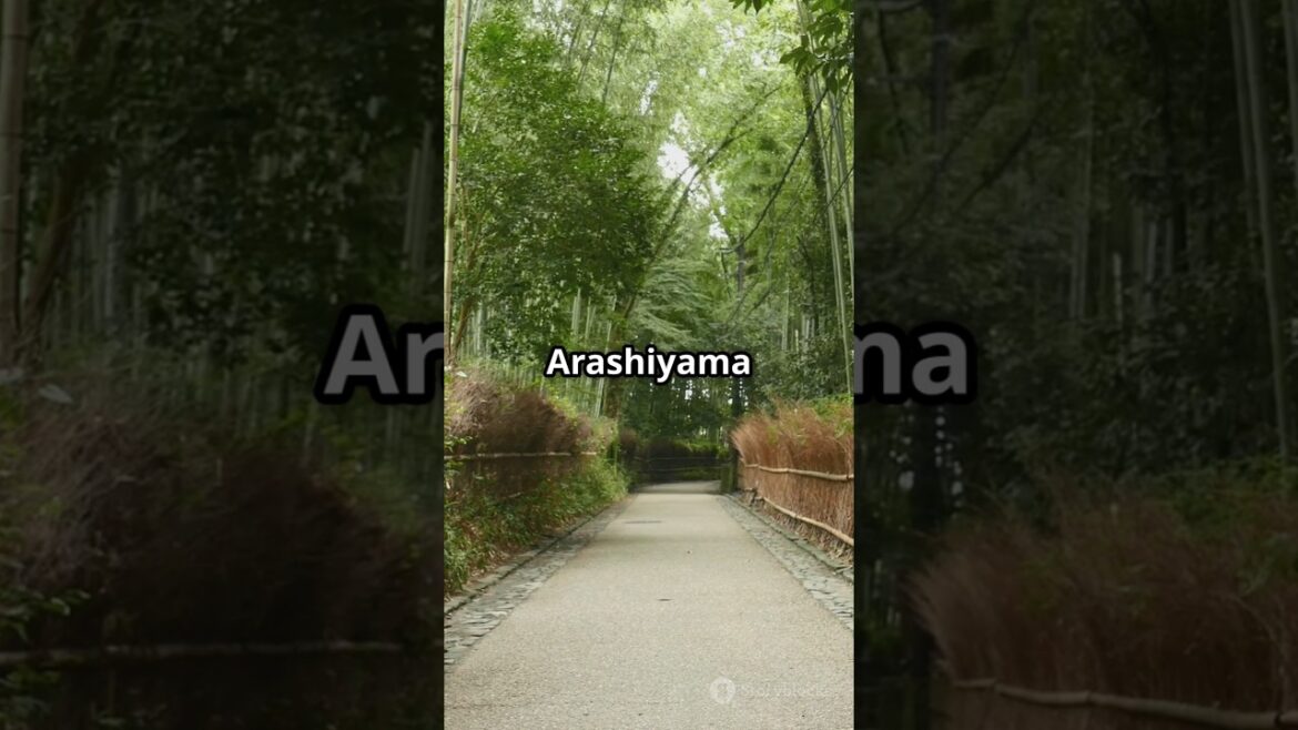 USA vs Japan: Top Tourist Destinations Reviewed#Best cities to visit in Japan#USA travel tips#shorts