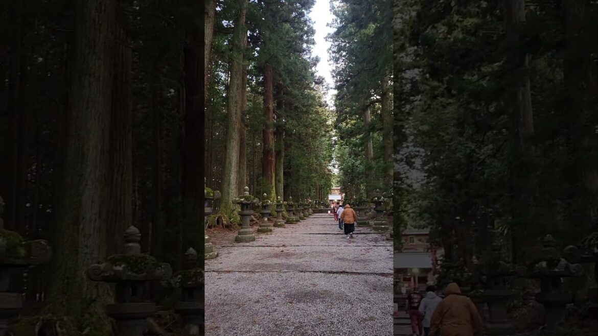 Fujiyoshida Sengen Shrine #japantouristguide #tourguiding #japantravelguide  #tourguideservice