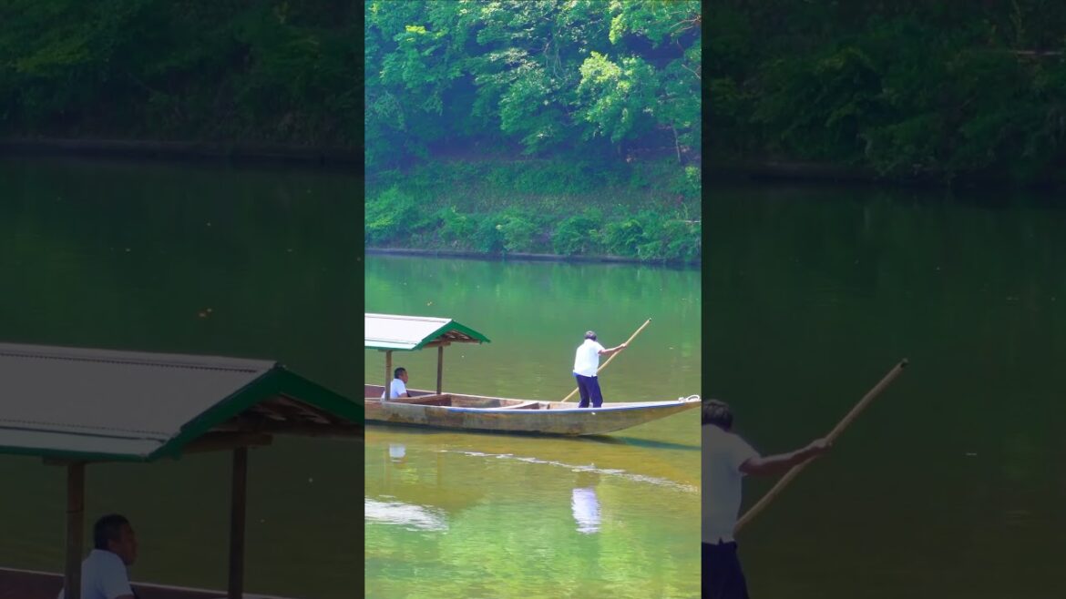 🚶🏻‍♂️‍➡️Walking the beautiful Arashiyama Park Kyoto Japan🚶🏻‍♂️#japan #kyoto #travel #discoverjapan