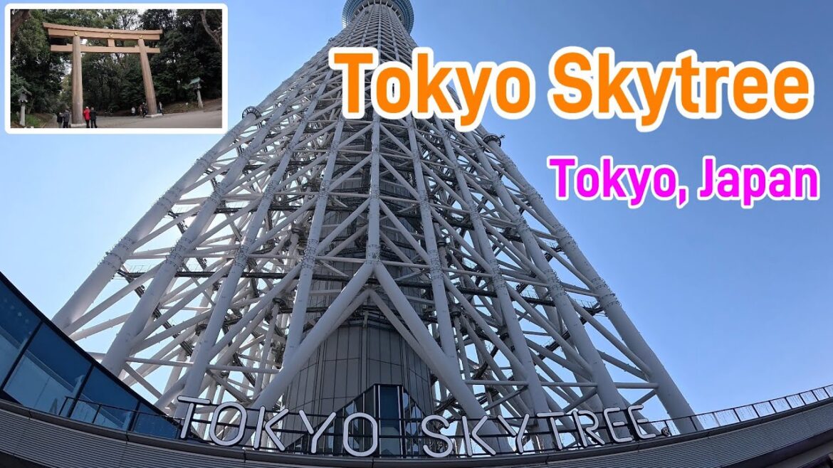 The trip to Tokyo was too much fun! Part 2 😄🗼【Walking tour Japan】【Tokyo】 The trip to Tokyo was too much fun! Part 2 😄🗼【Walking tour Japan】【Tokyo】