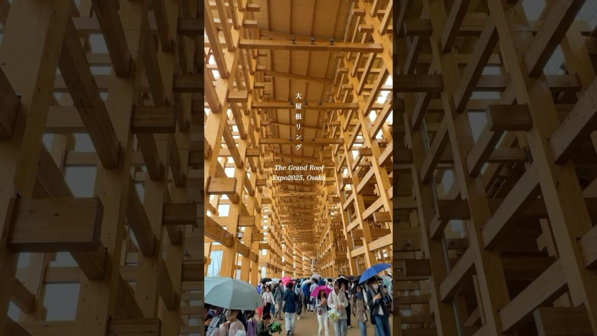 The world largest wooden construction is now in Osaka. #shorts #expo2025 #japanpavilion #osaka