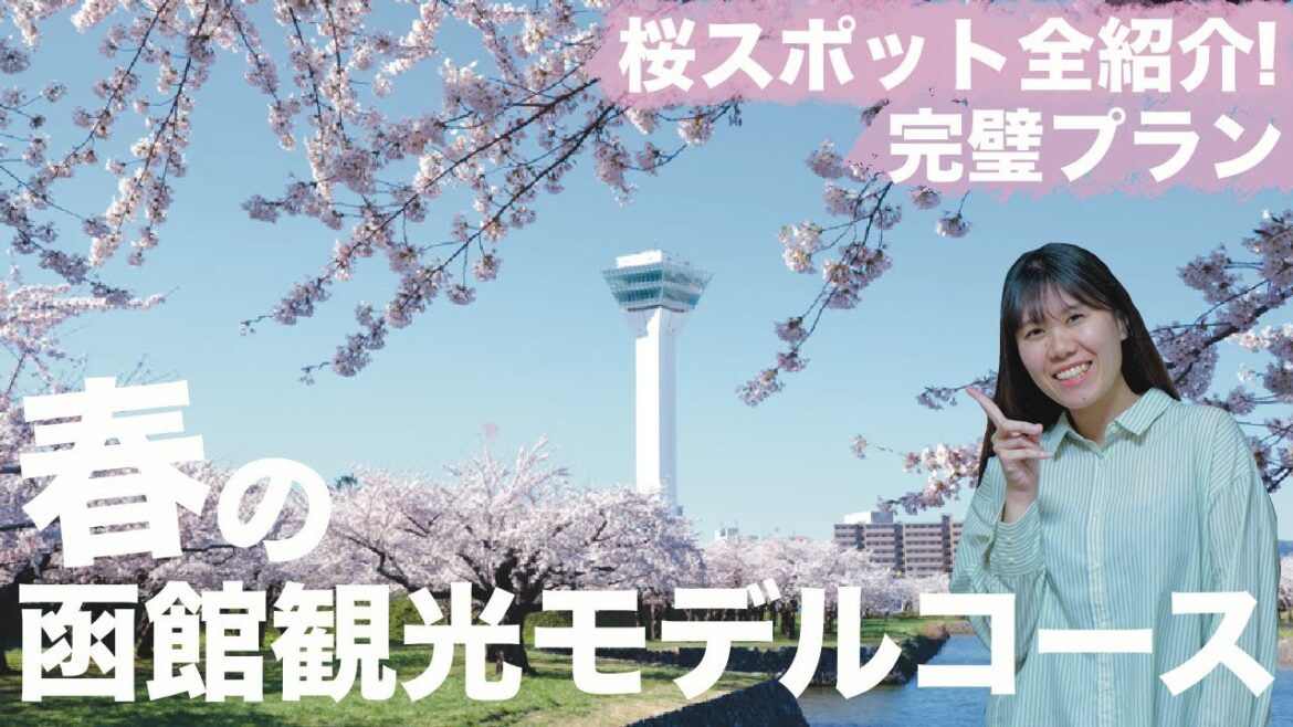 【函館】春の観光モデルコース|地元民おすすめ|桜満喫プラン🌸🌸 【函館】春の観光モデルコース|地元民おすすめ|桜満喫プラン🌸🌸