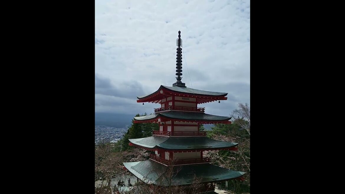Chureito Pagoda Fujiyoshida #japantouristguide #tourguiding #japantravelguide#alttravels #jpguides