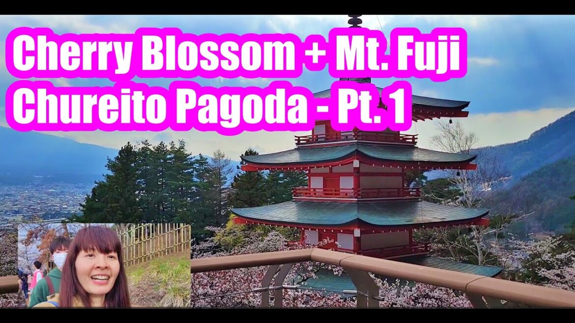🌸 Cherry Blossoms & Mt. Fuji at Chureito Pagoda | Japan’s Most Iconic Spring View 🌸 Cherry Blossoms & Mt. Fuji at Chureito Pagoda | Japan's Most Iconic Spring View