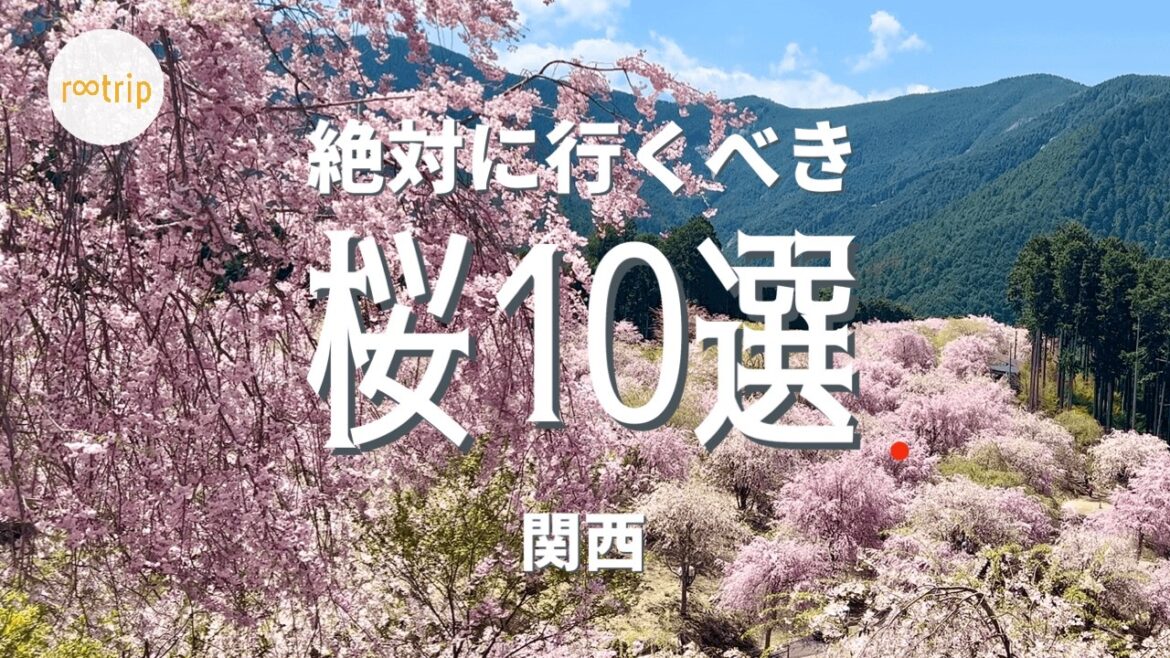 【桜ランキング】絶対に見るべき「関西の桜10選」 【桜ランキング】絶対に見るべき「関西の桜10選」